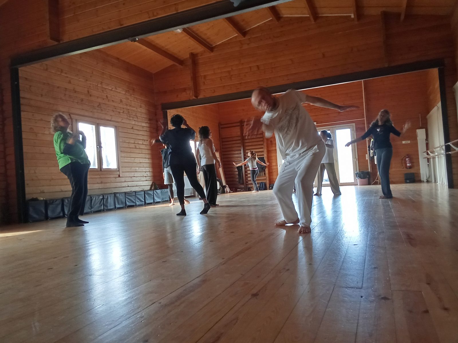 Grupo a dançar numa vivência de Biodanza em Estoril