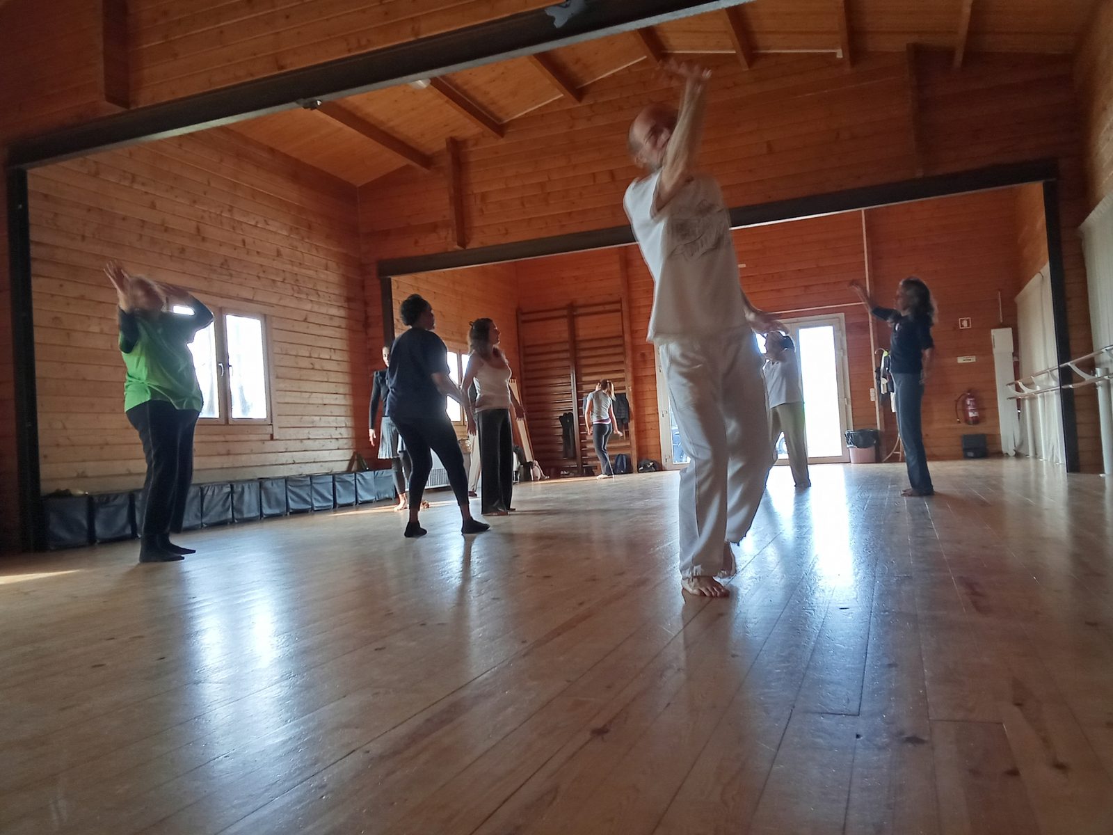 Grupo a dançar numa vivência de Biodanza, em sala de madeira