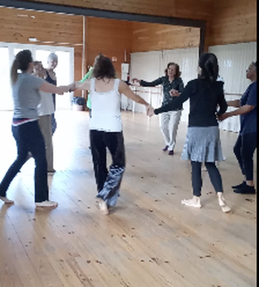 Grupo de mãos dadas em roda, numa vivência de Biodanza
